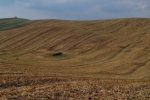 Fields near Brno